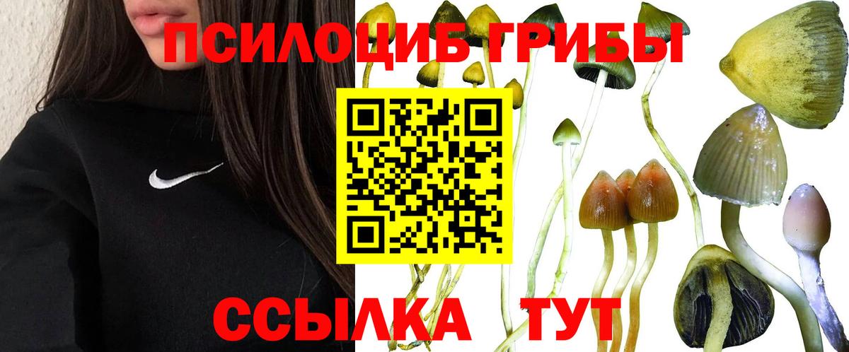 Псилоцибиновые грибы MAGIC MUSHROOMS  Вход с VPN  Зеленогорск 